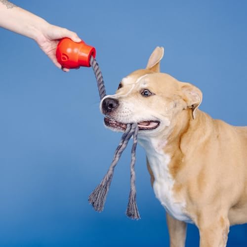 Fringe Studio You DA Bomb Rubber Dog Toy, Pet Shop Collection (518044)