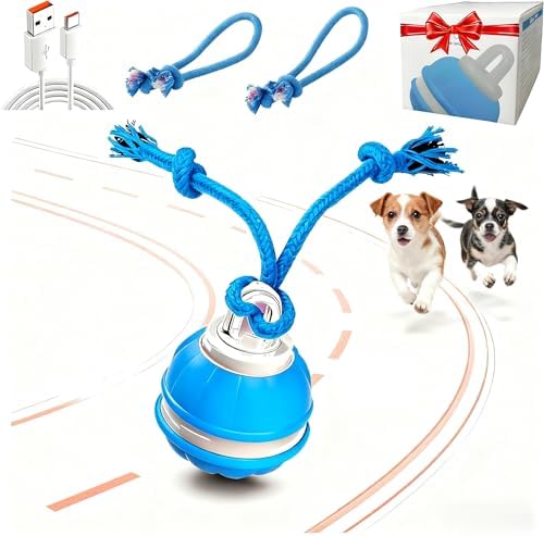 Interactive Dog Ball Toy for Small Dogs, Motion Activated Rolling Ball