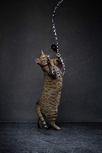 CAT DANCER Jungle Cat Wand (Pack of 2), Charmer Interactive Cat Toy, Safe Teaser Wand for Indoor Cats & Kittens, Flexible Exercise Toy Made of Multicolor Fabric Ribbon, For Medium Breeds