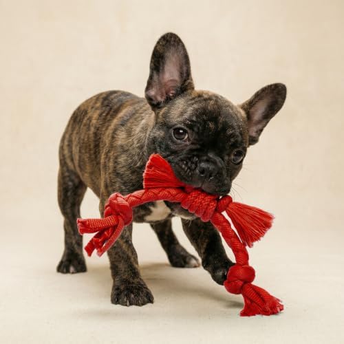 Playology Dog Toys | Sensory Rope for Puppies and Young Dogs | Beef Scented Small Tug of War Dog Toy | Teething Puppy Essentials Rope Toys