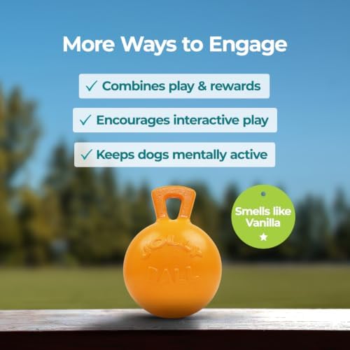 Jolly Pets Tug-n-Toss - Heavy Duty Chew Ball w/ Handle (Orange, 8")