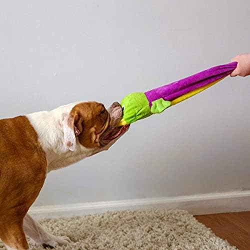 SmartPetLove Snuggle Puppy Tender-Tuffs Tug Dog Toy, Plush Platypus