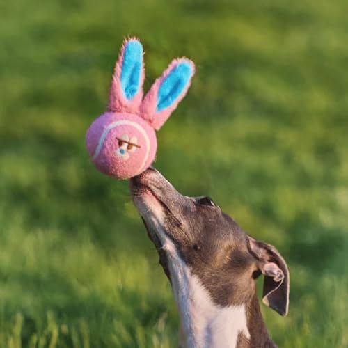 ZEZE Bonnie the Bunny Squeaky Dog Toy, Cute Plush Tennis Ball Dog Toy with Dual Squeaker & Crinkle Sound, Soft Fetch & Chew Toy for Small to Medium Dogs & Puppies, Gift-Ready Designer Pet Toy