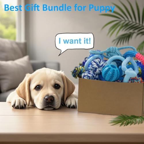 Beiker 20 Pack Puppy Chew Toys, Dog Teething Toys for Puppies Small Dogs | Blue Puppy Teething Rings and Ropes, Rubber Toy Bundle for Puppy Busy, Cute Interactive Pet Balls Bulk for Small Breed