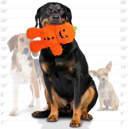 MIGHTY® 2 Pack Microfiber Medium Pumpkin Man Ultra Durable Plush Dog Toy