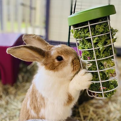 Omlet Caddi Rabbit Treat Holder | Strong and Durable Hay Rack for Small Animals | Interactive Toy | Attaches Easily to Any Rabbit Run | Durable Welded Steel Food Dispenser