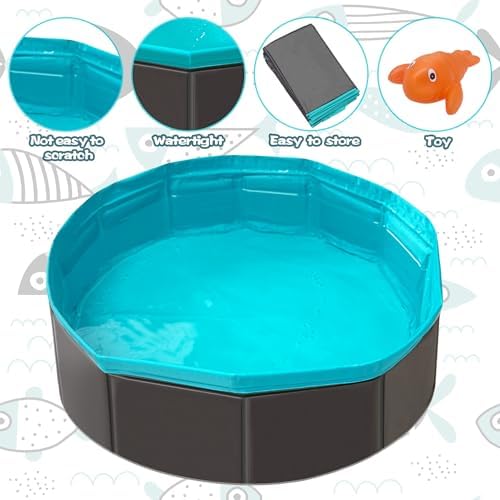 Cat Pool Toy, Water Toys for Cats, Best Cat Toys for Bored Indoor Cats, Hunting Toys for Indoor Catss, Portable Play Mat, Pet Swimming Pool for Self Play Enrichment (1pcs Pool + 6pcs Toy)