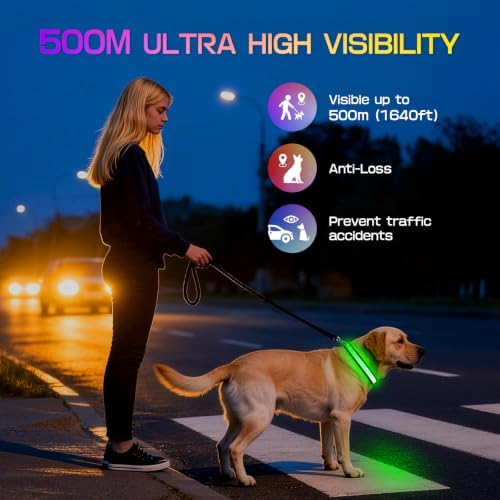 LED Dog Collar Light Up, USB Rechargeable Multicolor Glow Collar for Dogs