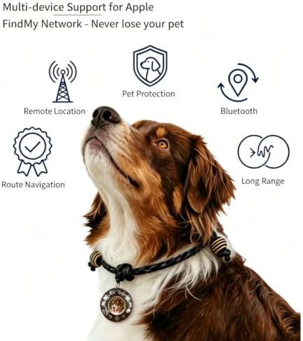 Custom Pet Portrait Tracker Tag with Apple Find My