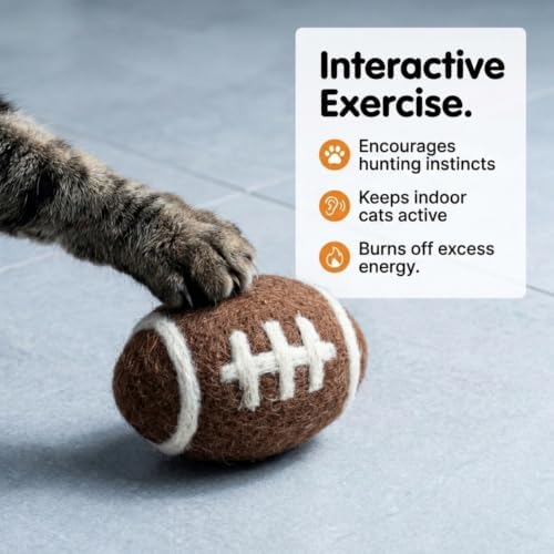 Glaciart One Sports Wool Balls for Cats – 5 Pcs with Catnip Pouch - Soft Fuzzy Enrichment 100% Natural Felt Cat Toy - Interactive Play Cat Toy Set - Safe for Pets, Non-AZO Colored Dyes – 1.6”