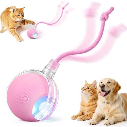 Interactive Automatic Rolling Electronic Stimulation Chase Ball Cat Dog Toy | Smart Electric Moving Stimulating Rechargeable Motion Activated Self Play Teaser for Boredom Small Dog Puppy Pet, with Rope