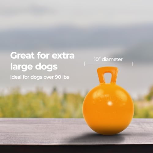 Jolly Pets Tug-n-Toss Heavy Duty Dog Toy Ball with Handle, 10 Inches/X-Large, Orange, Large Breeds