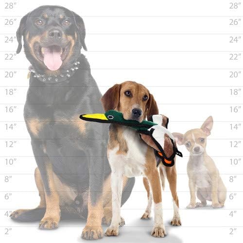 TUFFY® 2 Pack Duck Rabbit Small Ultra Durable Plush Dog Toys