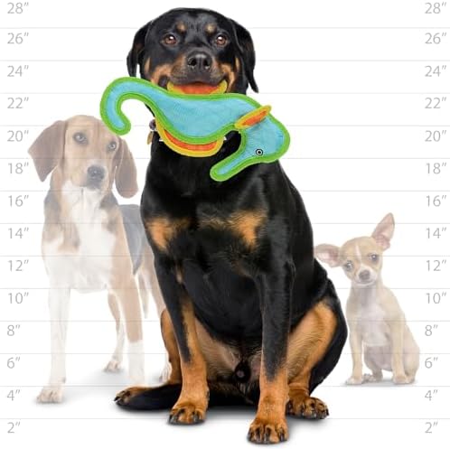 Tuffy® - DuraForce® : 2 Pack Seahorse Dog Toy: Ultra Durable Plush Toy with Multiple Layers & Reinforced Seams, Washable and Floats, DuraForce® Construction