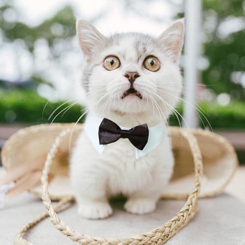 Cat Tuxedo, KOOLMOX Black Cat Bow Tie Sewed with Handcrafted Adjustable White Collar for Formal Pet, Male Cat Collar for Small Puppy Boy Dog Collars Cats Wedding Outfit Birthday Gift Dog Bows