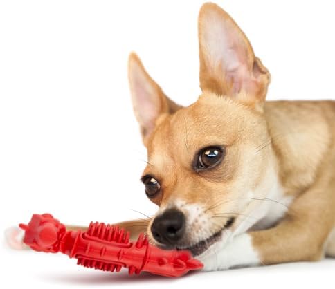 Jeffers Pet Natural Rubber Dog Chew Toy – Red Seahorse, Small – Vanilla Scent, Durable, Non-Toxic, Dishwasher Safe, Interactive Fetch & Tug Toy - Perfect for Training at Home