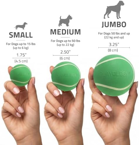 Playology Squeaky Chew Ball Dog Toy - Medium, Watermelon Scent