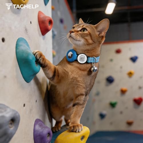 Reflective AirTag Cat Collar Breakaway, TAGHELP GPS Cat Collar with Apple Air Tag Holder, Cat Tracker Collars with Safety Elastic Band for Girl Boy Cats, Kittens and Puppies (Blue)