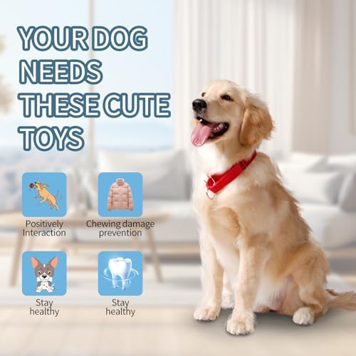 4 PCS Puppy Chew Toys for Teething Small Breed, Puppy Teething Ring, Soft Rubber Durable Dog Teething Toys, Rope Dog Toys, Funny Interactive Toy, Puppy Toys for Small Puppies, Dog Toys Set (Style 11)