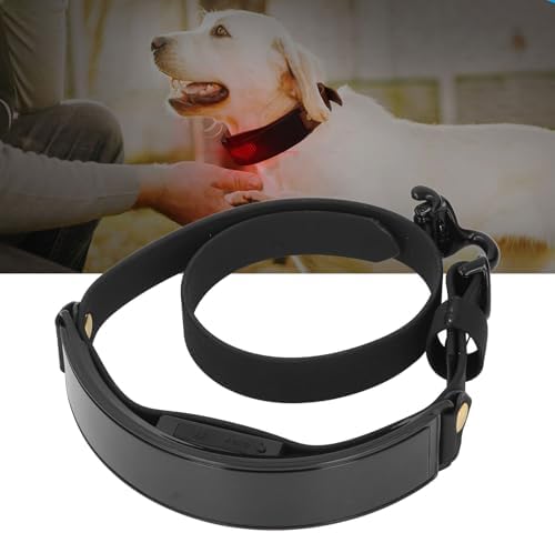 LED Dog Collar Smart DIY Screen Rechargeable Light Up Collar, Glowing Pet Necklace with APP Control, Luminous Glow in The Dark for Night Walking Safety (Red Light)
