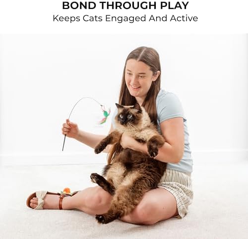 Cat Toys for Indoor Cats, Interactive Cat Toy Wand, Kitten Stuff, 18 Lures