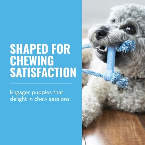 KONG Puppy Goodie Bone with Rope, Natural Rubber, for XS Puppies, Blue