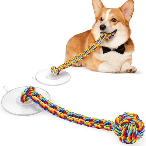 Interactive Dog Toy for Tug of War with Rope Ball for Small Dogs,Rainbow