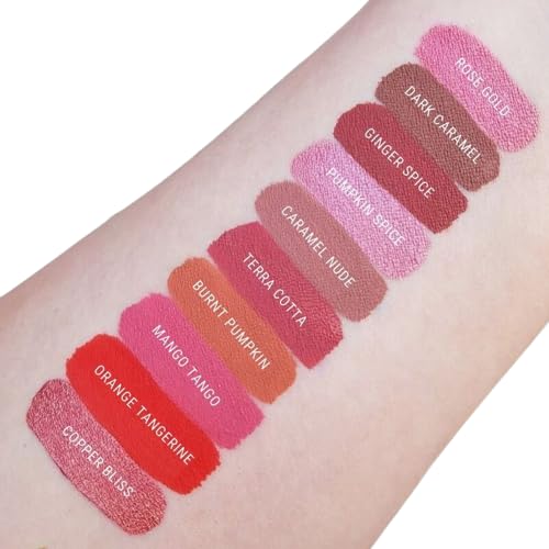 Aromi Matte Liquid Lipstick | Nutmeg, Orange Lip Color, Squash Shade, Long-Lasting, Waterproof (Burnt Pumpkin)