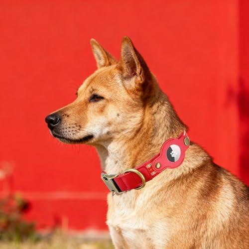 Airtag Dog Collar,Reflective Collar with Airtag Holder for Medium Dogs(Red)