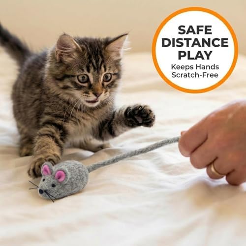 Glaciart One Felt Mouse Cat Toy – Soft Fuzzy Enrichment 100% Natural Wool - Interactive Catnip Play Cat Toy Set - Safe for Pets, Non-AZO Colored Dyes - 42” Long