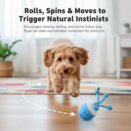 Interactive Dog Toys, Motion Activated Rolling Dog Ball Toy, Automatic Moving Dogs Toy for Boredom Stimulating, Self Play Ball for Small Medium Dogs Indoor, USB Rechargeable (Blue)