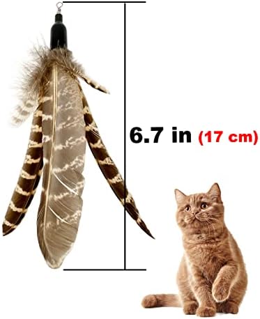 Cat Feather Toys Refills, 6 Pieces Handmade Da Bird Feathers Refill, Cat Wand Replacement Feather for Indoor Cats (C)