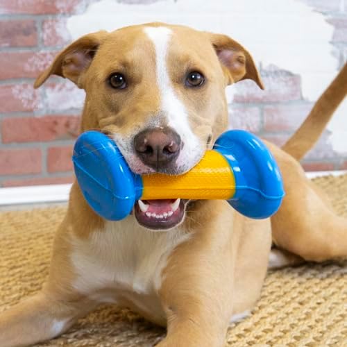 KONG Rambler Rattlez Long Lasting Fetch and Chew Assorted Toy (Dumbbell)