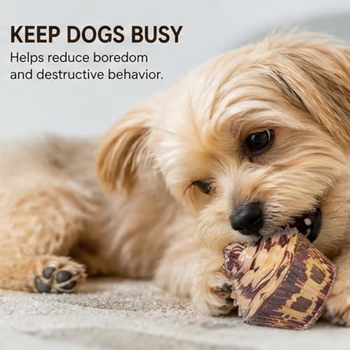 Molaxpet Squeaky Dog Toy Cupcake Rubber Interactive Chew Toy for Pet Dogs