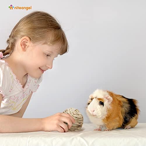 Niteangel Natural Chew Activity Toys: Meets Small Pet Chewing Needs & Mood