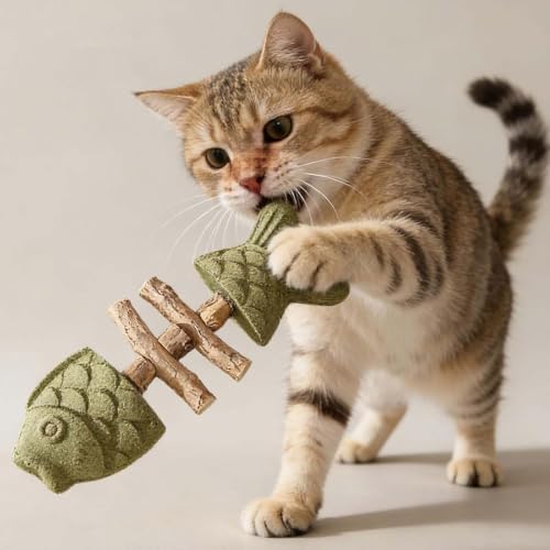 2026 New Creative Fish Bone Cat Dental Chew Toy, Natural Fishbone Catnip & Silvervine Chew Toy, Interactive Kitten Chew Playthings for Cats Teeth Cleaning (Mixed Flavors, 3Pcs)