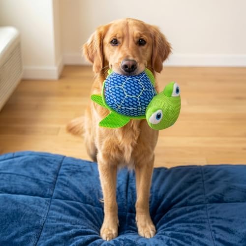 KONG Armor Dog Toy, Durable Plush (Turtle)