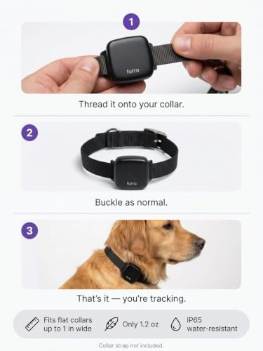 Smart GPS Pet Tracker for Dogs & Cats – Real-Time Location Tracking Collar Tag, Escape Alerts, Activity & Sleep Health Monitor, 3-Week Battery, Water-Resistant (Black)