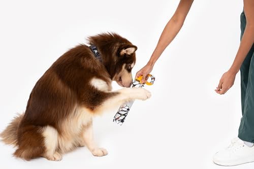 OllyDog Tugger | Dog Tug Toy for Tug of War & Training | Durable Bite Pillow | Eco-Friendly Recycled | Handle | Medium Large Dogs (Magnolia)