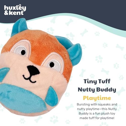 Huxley & Kent Funny Dog Toy w/Squeaker – Power Plush Squeaky Dog Toys for Small Dogs – Durable Small Stuffed Animal for Indoor Play & Fetch - Tiny Tuff Nutty Buddy