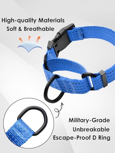 Martingale Dog Collar, Reflective No Pull with Buckle, Blue, M