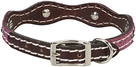 Weaver Leather Pet Vintage Paisley Collar, Pink, 3/4" x 15"