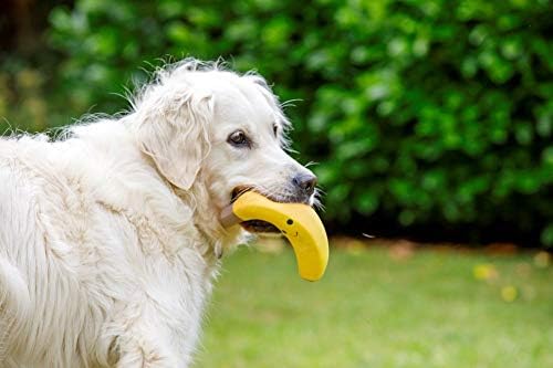 Petface Latex Banana Soft Chew Dog Toy, Large (Pack of 1)