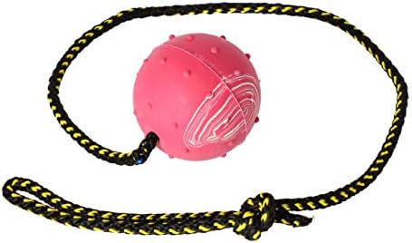 Dingo Dog Ball with Long Rope, Natural Rubber, Color May Vary 26in