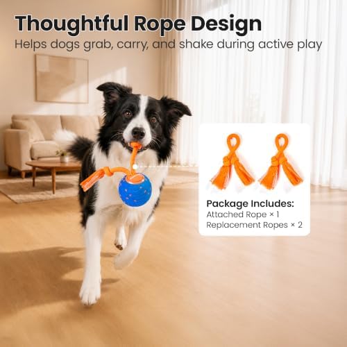 Potaroma Interactive Rolling Dog Ball, ETPU Touch Activated Motorized Toy