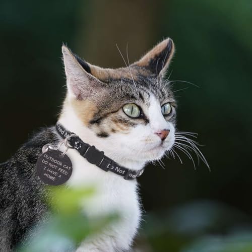 KOOLTAIL Cat Collar with Bell,2 Pack Do Not Feed Cat Collars with Warning Board Hanging Do Not Feed Me,Cute Lightweight Adjustable Breakaway Kitten Collar with Safety Buckle