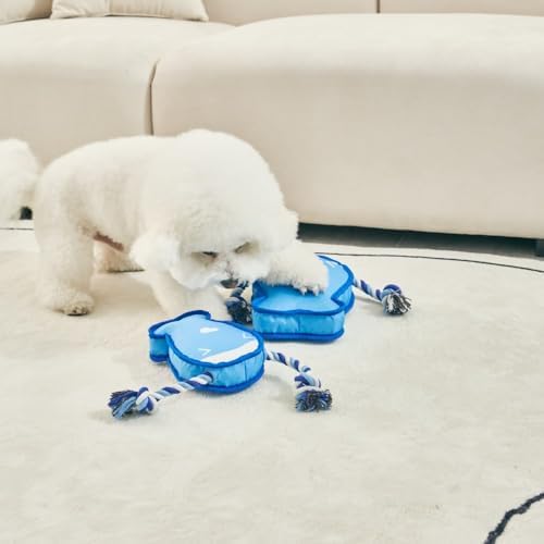 Durable Dog Toy – Interactive Rope Chew Toy with Crinkle Sound – Tough 1680D Fabric Tug Toy for Small, Medium & Large Dogs (Medium, Frog)
