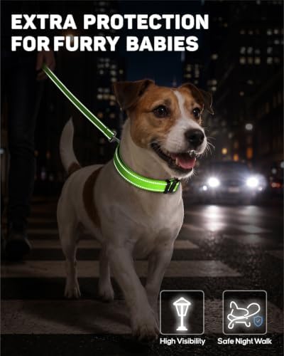 Padded Dog Collar with Waterproof Holder Compatible with Airtag