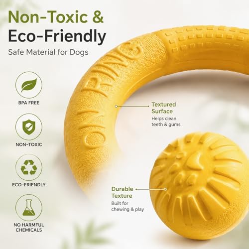 Large Dog Toy Ring and Ball Combo Set, Floating EVA 2 Pack (Yellow, Large)