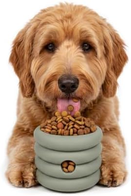 Should We Go? Interactive Dog Enrichment Toy with Freezer Plug, BPA-Free Silicone Puzzle Dog Freeze Bowl & Treat Dispenser for Mental Stimulation, Ideal for Kibble & Frozen Licks, Fits 10 oz, Medium